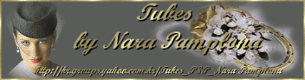Nara pamplona banner